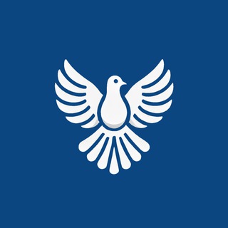 Логотип телеграм-чата byebyedpi_group — ByeByeDPI
