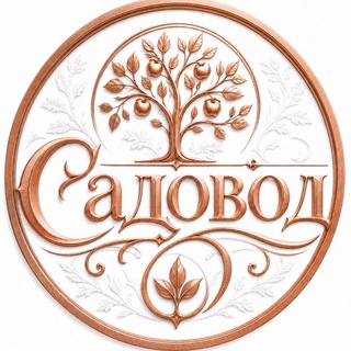 Telegram chat ОПТОМ: Садовод, ТЯК, Южные Ворота logo