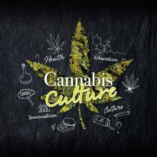 Telegram chat Cannabis culture [Таиланд] 💨 logo