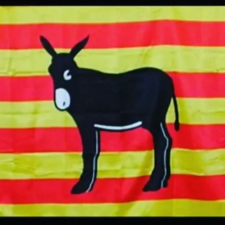 Telegram chat Каталонский чат logo