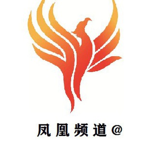 Telegram chat 凤凰 🌟TG中文 搜索频道 logo
