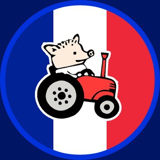 Telegram chat C'est la France logo
