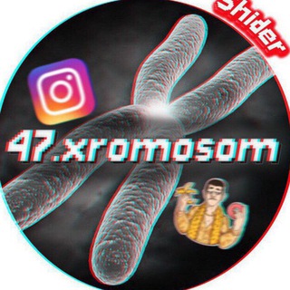 Telegram chat Хромосома logo