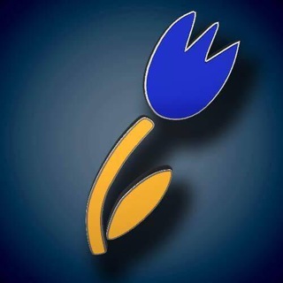 Логотип телеграм-чату chat_ukrainians_nl — Українці в Нідерландах (чат)