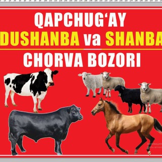 Telegram chat Chorva mol bozori Qapchug‘ay logo