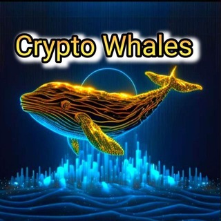 Telegram chat community (🐋الحيتان) logo