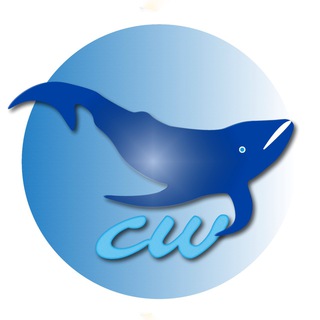 Telegram chat cryptowhales public chat logo