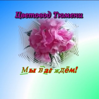 Telegram chat Цветовод Тюмени logo