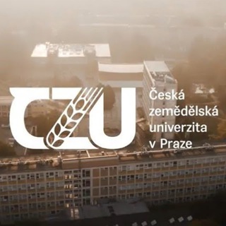 Telegram chat ČZU | INFORMATION logo