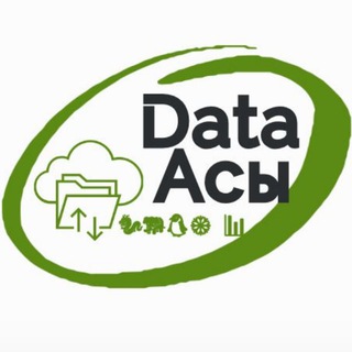 Telegram chat Data Асы 🧩🖧🐉🐘🐧❄️📊 logo