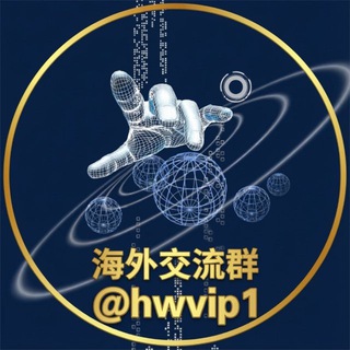 Telegram chat 海外交流群 logo