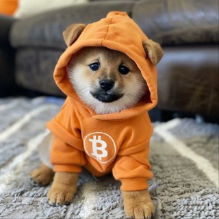 Telegram chat DOG•GO•TO•THE•MOON logo