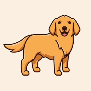 Telegram chat [DogsForum] Все про собак logo