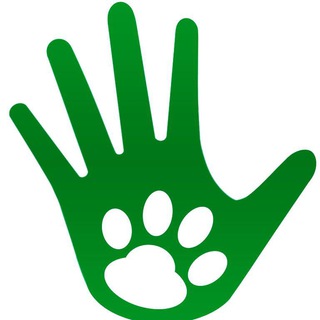 Telegram chat DogsMSK logo