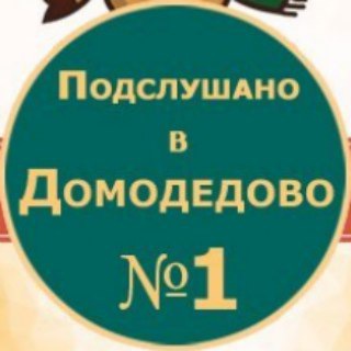 Telegram chat Домодедово Чат logo