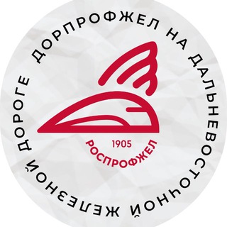 Telegram chat ДОРПРОФЖЕЛ ДВЖД logo