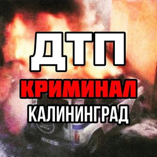 Telegram chat ДТП 🚨 Криминал Калининград logo