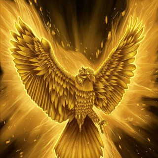 Telegram chat Eagle_signals logo