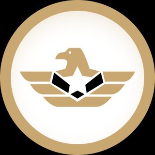 Telegram chat Eagles Support Group logo