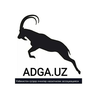 ECHKICHILIK НАСЛДОР ЭЧКИЧИЛИК 🐐🐐🐐 - Telegram Groups