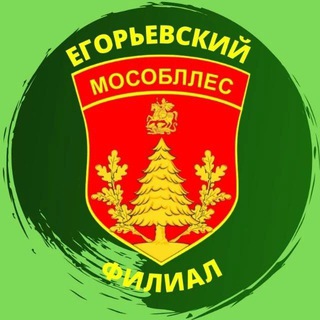 Telegram chat Егорьевское лесничество logo