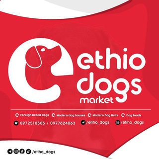Telegram chat Ethio dogs market🇪🇹 logo