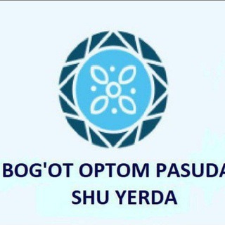 Telegram chat Bog'ot optom posuda shu yerda logo