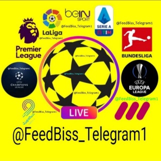 Telegram chat FeedBiss Group logo