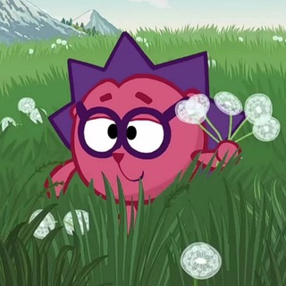 Telegram chat 🦔 Пиар чат | Взаимные подписки 🦔 logo