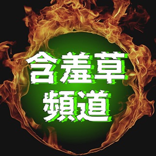 电报聊天的标志 fire1889527 — 🍀含羞草頻道-裝備支援🎵(音樂交友群)