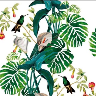 Telegram chat 🌿🌸 Цветочный мир 🌸🌿 logo