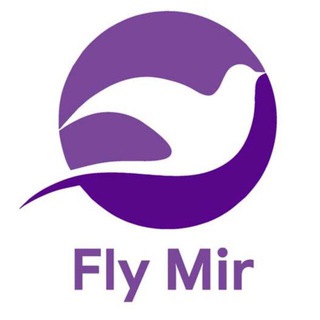 Telegram chat Fly Mir Group logo