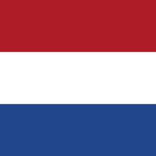Telegram chat 🇳🇱 Нидерланды чат logo