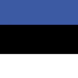Telegram chat 🇪🇪 Эстония чат logo