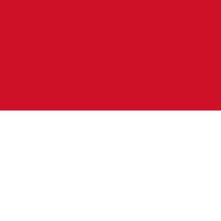Telegram chat 🇮🇩 Индонезия чат logo