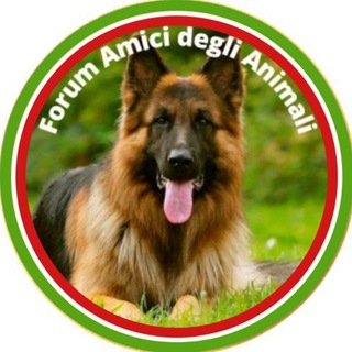 Telegram chat Forum 🇮🇹 Amici degli Animali 🇮🇹 logo