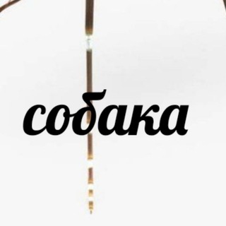 Логотип телеграм-чата frazy_dnya — Чат Фразы дня