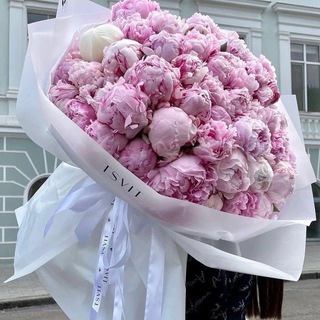 Telegram chat 🌸 Девочки Варшава 🌸 logo