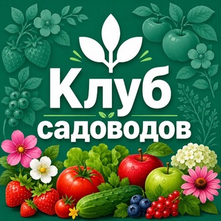 Telegram chat Клуб садоводов logo