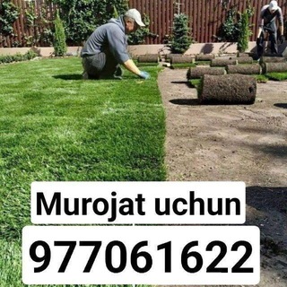 Логотип телеграм-чата gazon_xizmati8 — Gazon Landshaftniy dizayn🌲🌲🌲🌲
