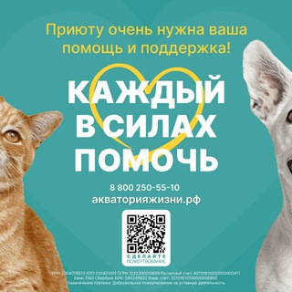 Telegram chat ЗООГЕЛЕНДЖИК • ПРИЮТ ФОРУМ • ZOOGELENDZHIK • logo