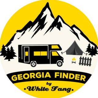 Логотип телеграм-чата georgia_finder — Georgia Finder Group