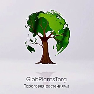 Telegram chat РАСТЕНИЯ ОПТОМ - PlantsTorg 🌳🌿 logo