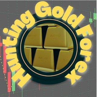 Telegram chat Gold hunting forex logo
