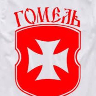 Telegram chat Гомель и область logo