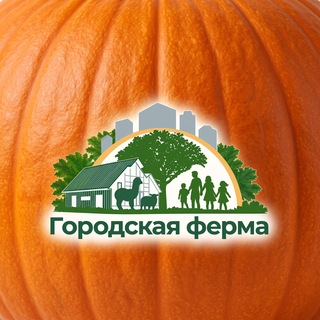 Telegram chat Городская ферма Chat logo