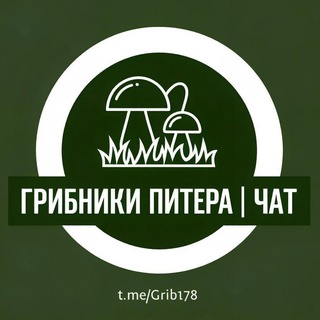 Telegram chat Чат 🍄 Грибники Питера и Лен. Области, Карелии - Отчеты | Места | Общение logo