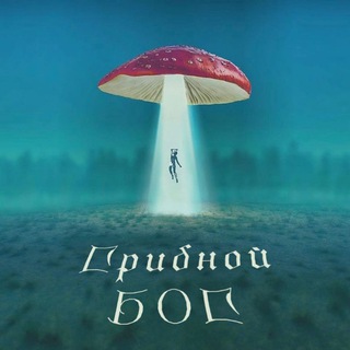 Telegram chat Грибной Бог Мухомор 🍄 logo