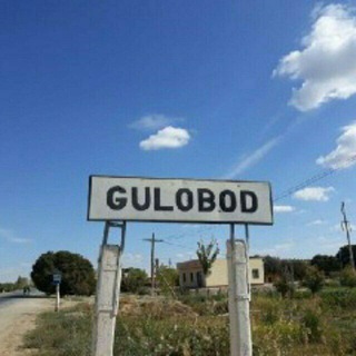 Telegram chat Gulobod MFY logo