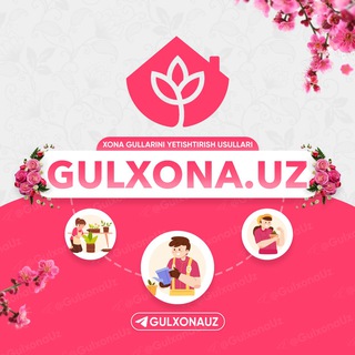 Telegram chatining logotibi gulxonauz — Gulxona.uz | Chat